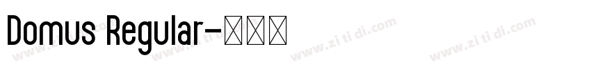 Domus Regular字体转换 Domus Regular字体转换